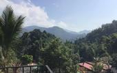 Туры в отель Forest Guesthouse