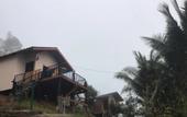 Туры в отель Forest Guesthouse