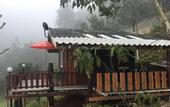Туры в отель Forest Guesthouse