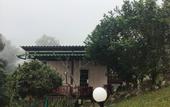 Туры в отель Forest Guesthouse