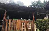 Туры в отель Forest Guesthouse