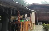 Туры в отель Forest Guesthouse