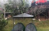 Туры в отель Forest Guesthouse