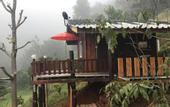 Туры в отель Forest Guesthouse