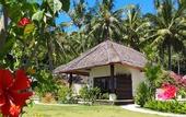 Туры в отель Palm Garden Amed Beach & Spa Resort Bali