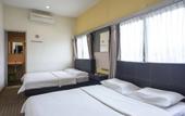 Туры в отель Raintree Hotel
