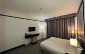 Туры в отель Hotel DeLeeton