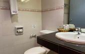 Туры в отель Hotel DeLeeton
