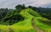 Туры в отель Puri Bisma Ubud