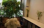 Туры в отель Veva Residence