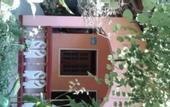 Туры в отель Green leaf cabanas