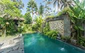 Туры в отель Ubud Luwih Villa