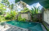 Туры в отель Ubud Luwih Villa