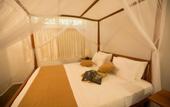 Туры в отель Thalpe Walawwa Heritage Villa