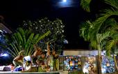 Туры в отель OK Divers Resort & Spa