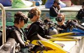Туры в отель OK Divers Resort & Spa