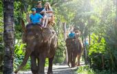 Туры в отель Sanctoo Suites and Villas