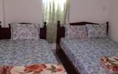 Туры в отель Phu Gia Hotel