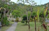 Туры в отель Segara Wangi Beach Cottages