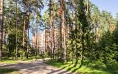 Туры в отель Апарт-отель Яхонтовый Лес