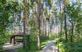 Туры в отель Апарт-отель Яхонтовый Лес