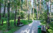 Туры в отель Апарт-отель Яхонтовый Лес