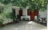 Туры в отель 20 House Arugam
