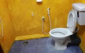 Туры в отель 20 House Arugam