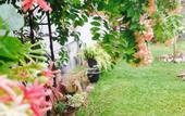 Туры в отель Manik Home Stay