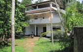 Туры в отель Jungleside House