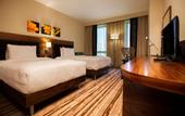 Туры в отель Hilton Garden Inn Erzincan