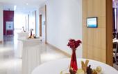 Туры в отель Novotel Konya