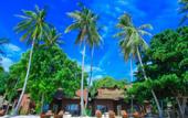 Туры в отель Koh Tao Beach Club