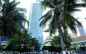 Туры в отель Sunrise Ocean View Apartment