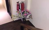 Туры в отель Splendid Holiday Guest House