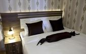 Туры в отель No 139 Apartments