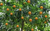 Туры в отель City Hotel Marmaris