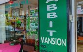 Туры в отель Rabbit Mansion Patong Hotel