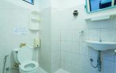 Туры в отель Rabbit Mansion Patong Hotel