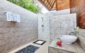 Туры в отель The Cozy Villas Lembongan by ABM