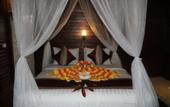 Туры в отель The Cozy Villas Lembongan by ABM