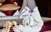 Туры в отель The Cozy Villas Lembongan by ABM