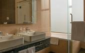 Туры в отель The Concord Hotel And Suites