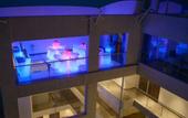 Туры в отель The Concord Hotel And Suites