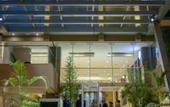 Туры в отель The Concord Hotel And Suites
