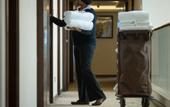 Туры в отель The Concord Hotel And Suites