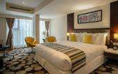 Туры в отель The Concord Hotel And Suites