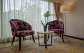 Туры в отель The Concord Hotel And Suites