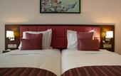 Туры в отель The Concord Hotel And Suites