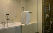 Туры в отель The Concord Hotel And Suites